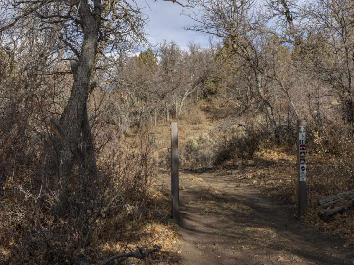Oak Ridge Road Access Trail trail photo