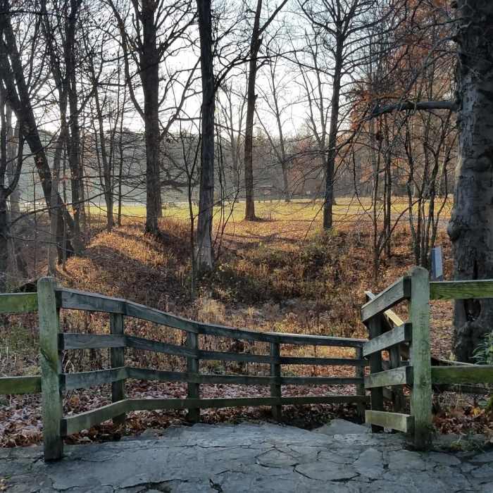 Near Earthworks Trail Alternate Start