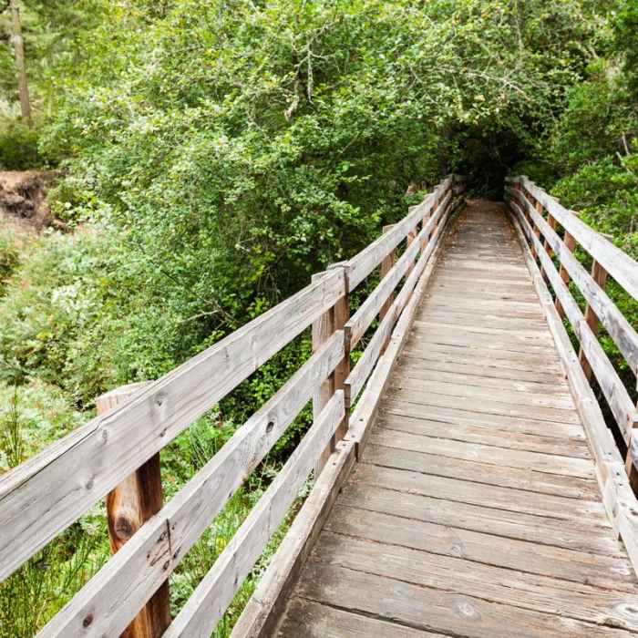 Near John Dellenback Trail