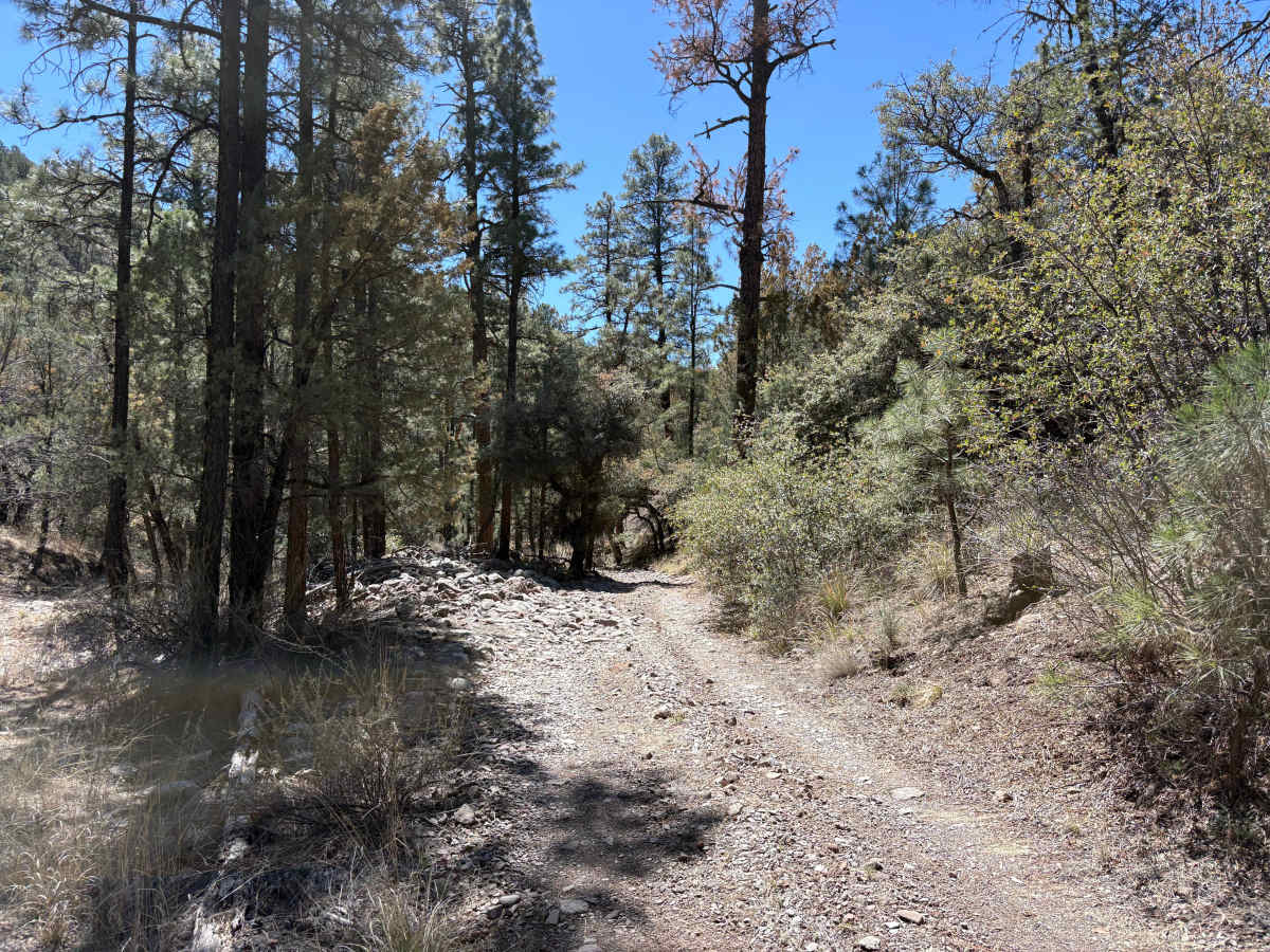 Hay Mesa - Trail 976  photo 3