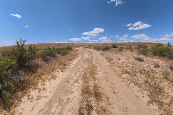 Bureau of Land Managment 121
