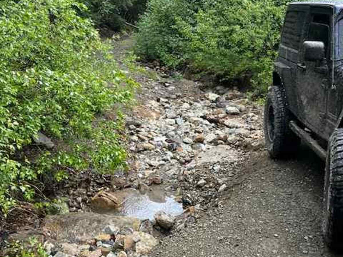 Dixon Mountain photo 2