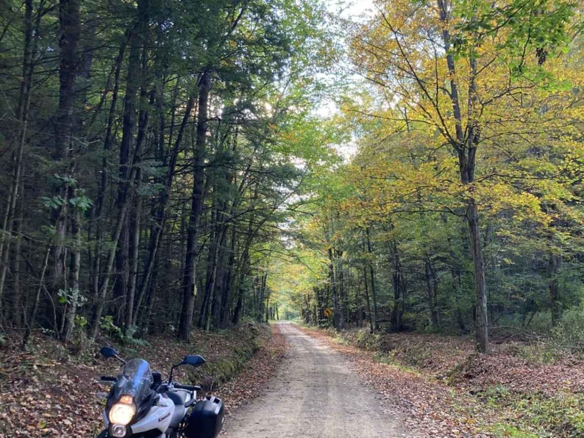 Culver Creek Road photo 3