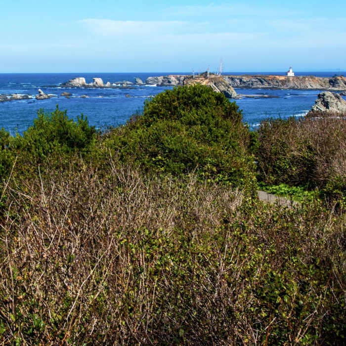 Near Oregon Coast Trail Section 7