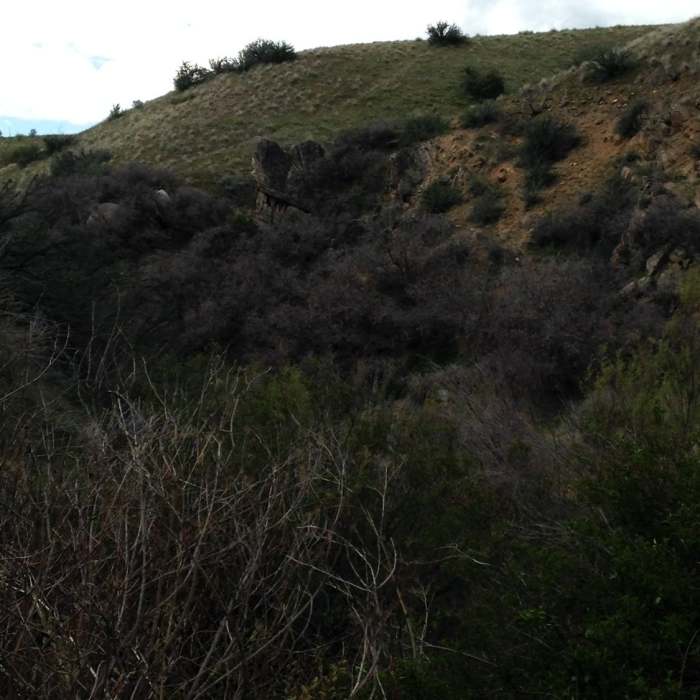 Near Lower Hull's Gulch Trail #29