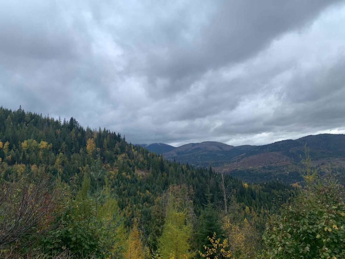 Mt Spokane via IEP Backroads photo 4