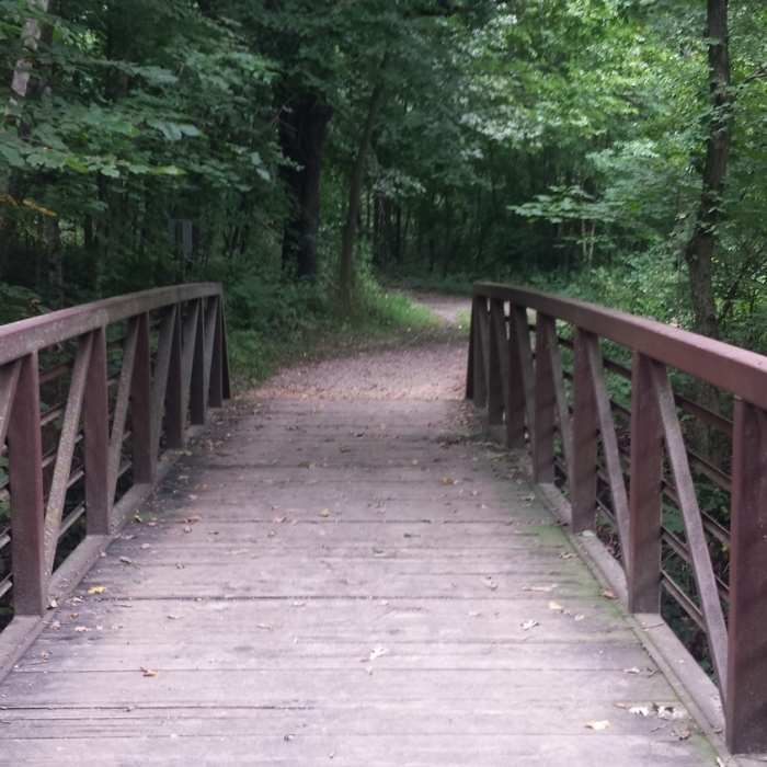 Bridge at 7 Mile Creek Near Seven Mile Creek Hike