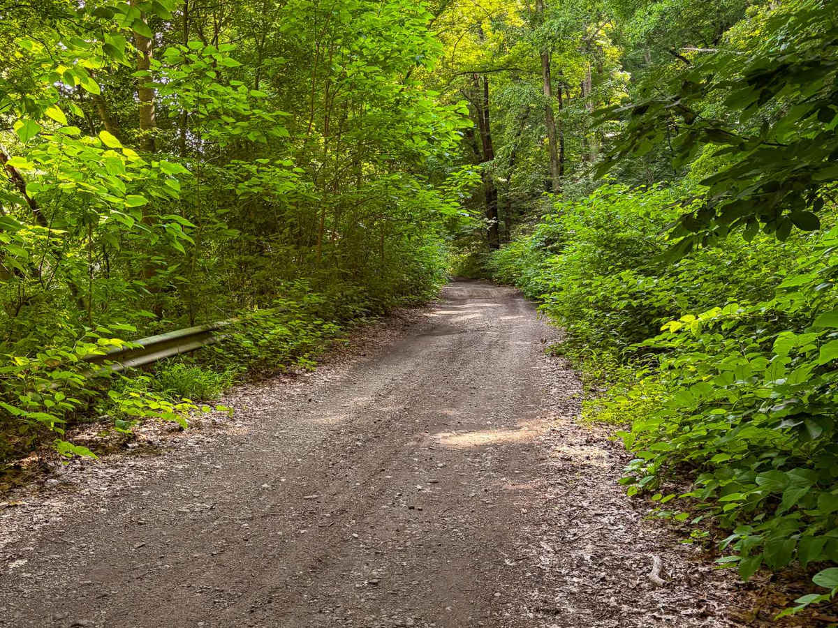 Cold Springs Road trail photo