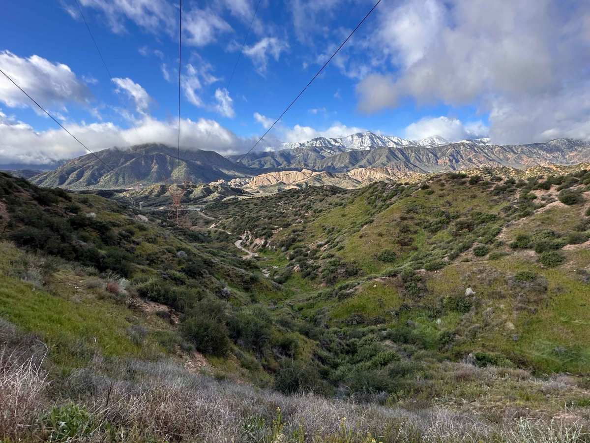 15 Lookout photo 4
