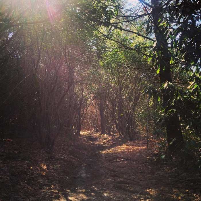 Near John Rock Trail #365