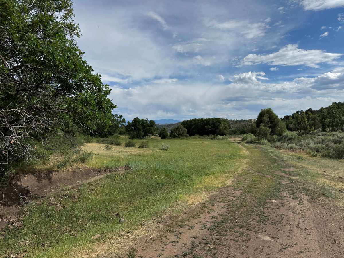 BLM 8452 photo 4