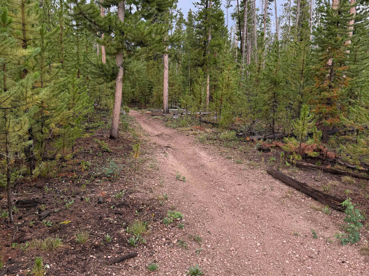 Snyder Creek Loop photo 3