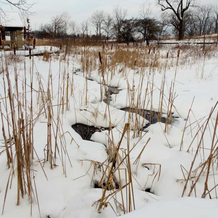 Near Coffee Creek Watershed Preserve Loop
