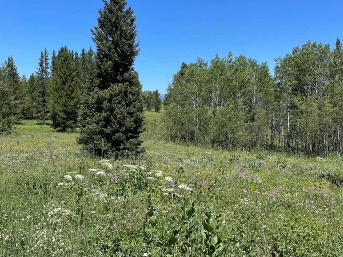 Buttermilk Creek Trail photo 6