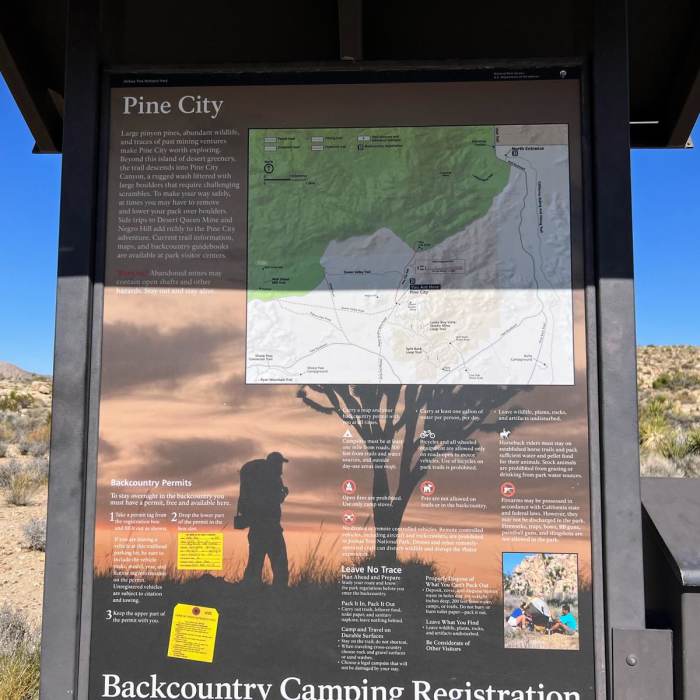 Near Queen Valley Loop