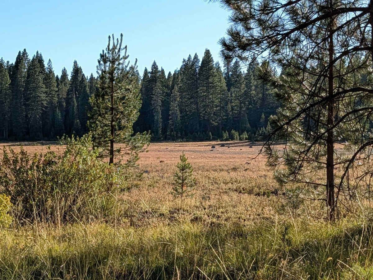 White Deer East - FS 40N07 photo 5