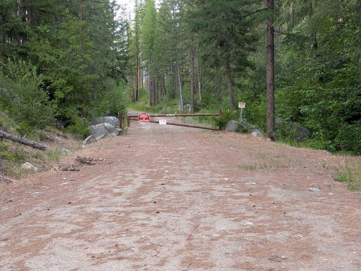 North Cook Mountain Road - South half photo 5