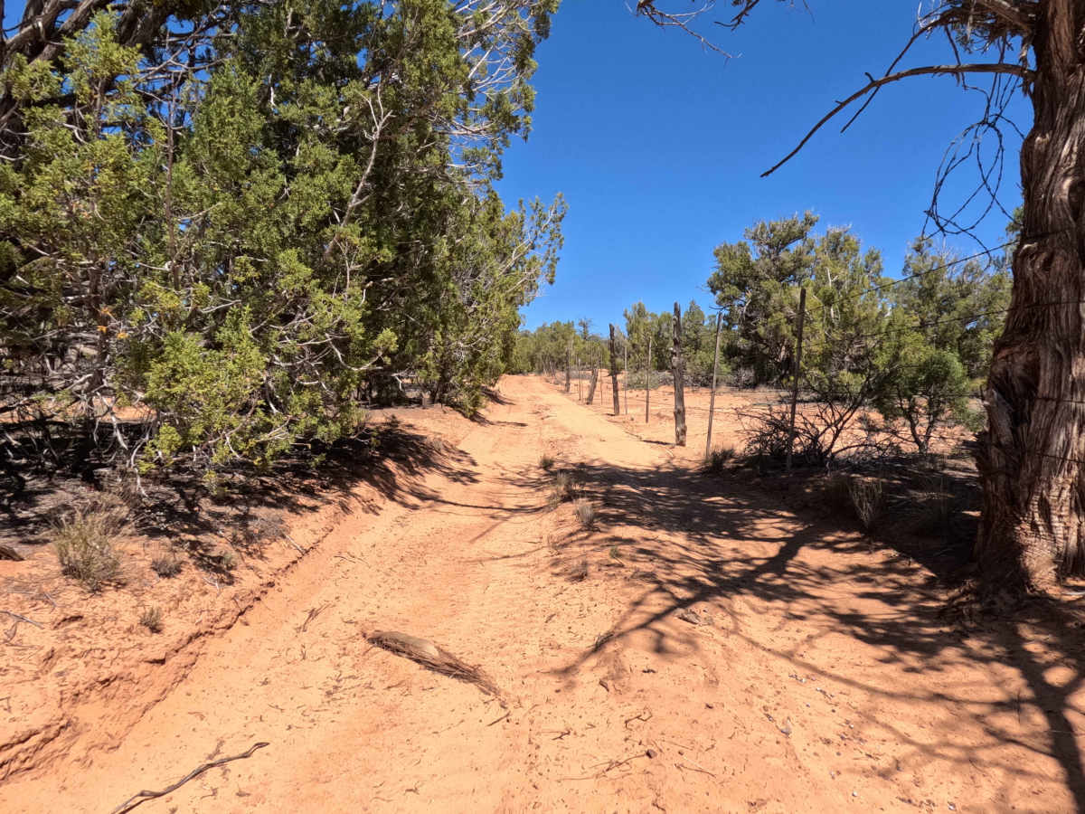 BLM 101M photo 2