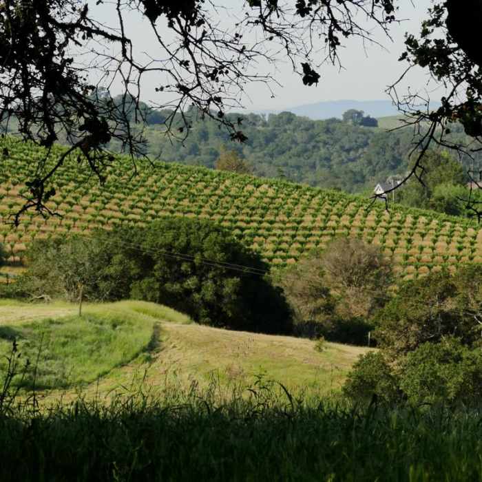 Near Westwood Hills Park