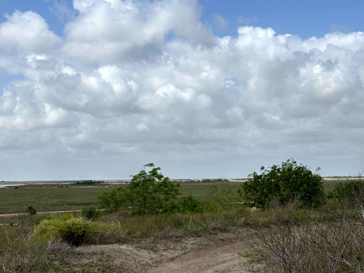 Watchtower photo 4