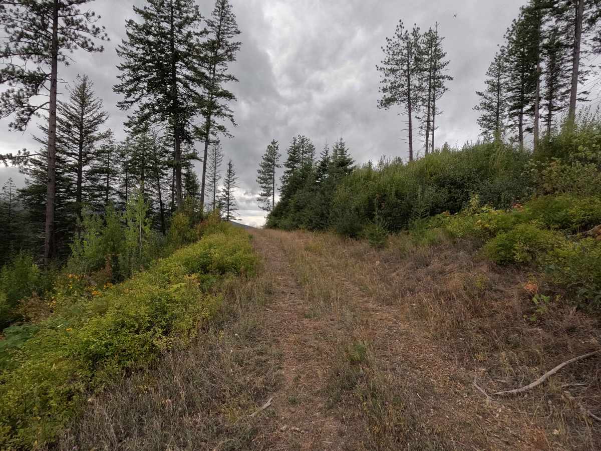 Solo Creek G - FS 659G photo 3