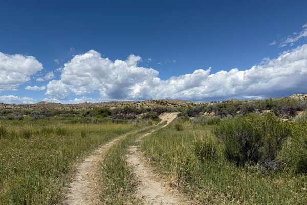 Side By Side Trail