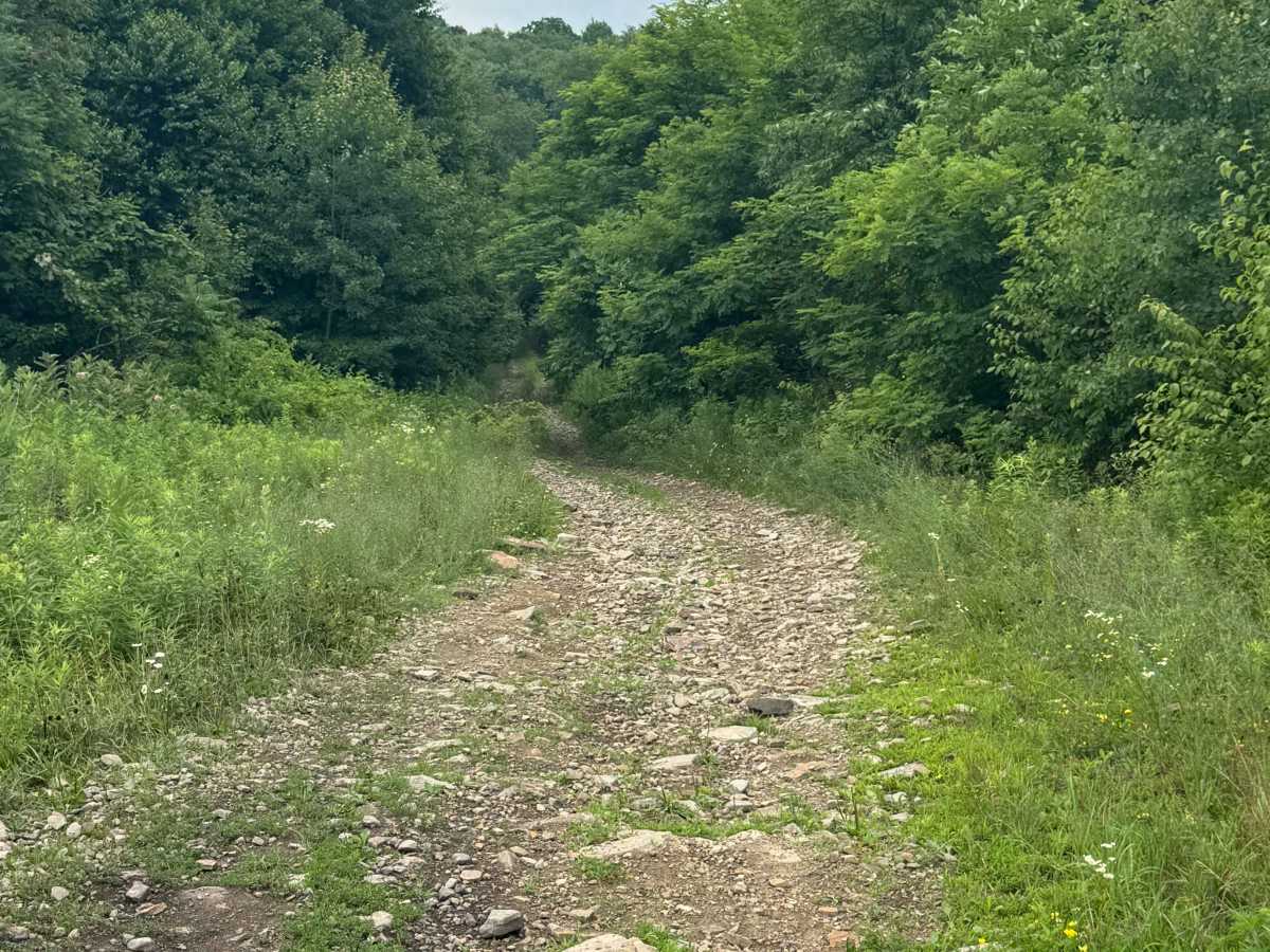 Trail 40 photo 5