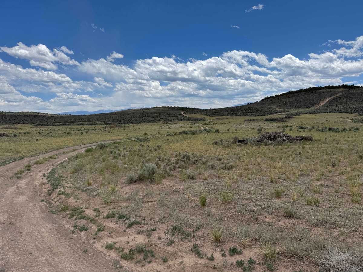 BLM 8473C photo 6