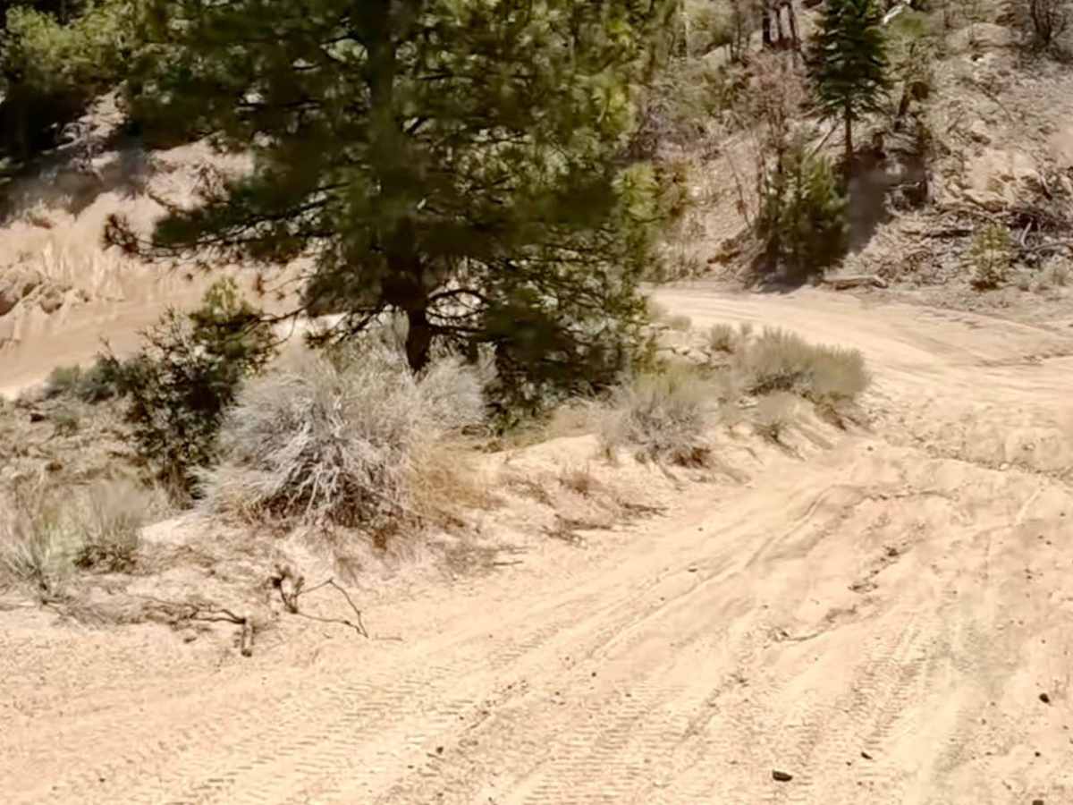 Holcomb Valley Road (West) - FS 3N16 photo 6