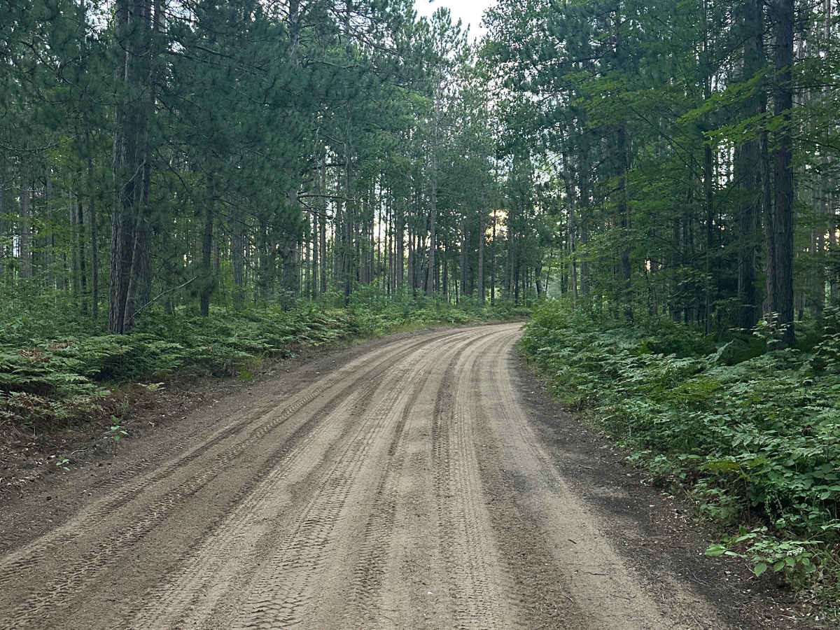Barney Lake Road trail photo