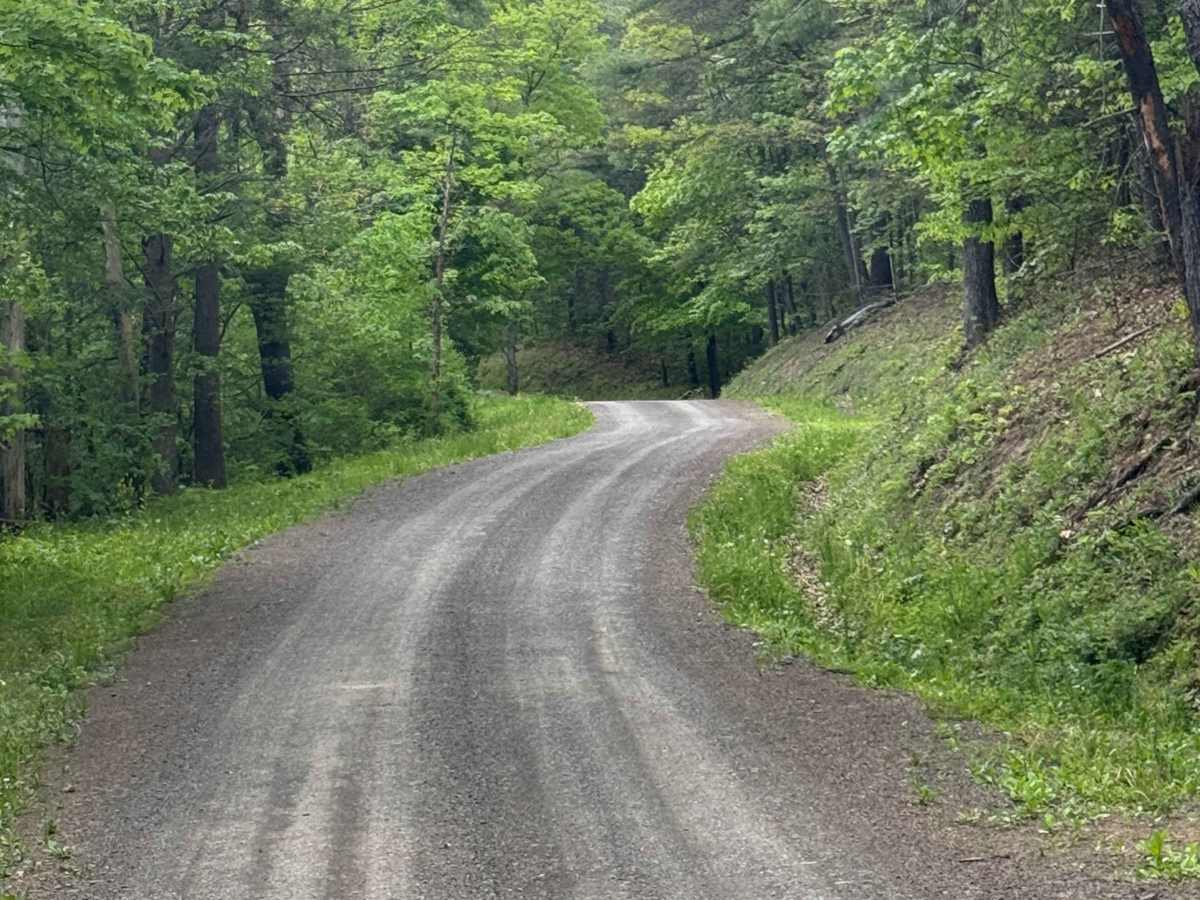 Greens Run Road photo 5