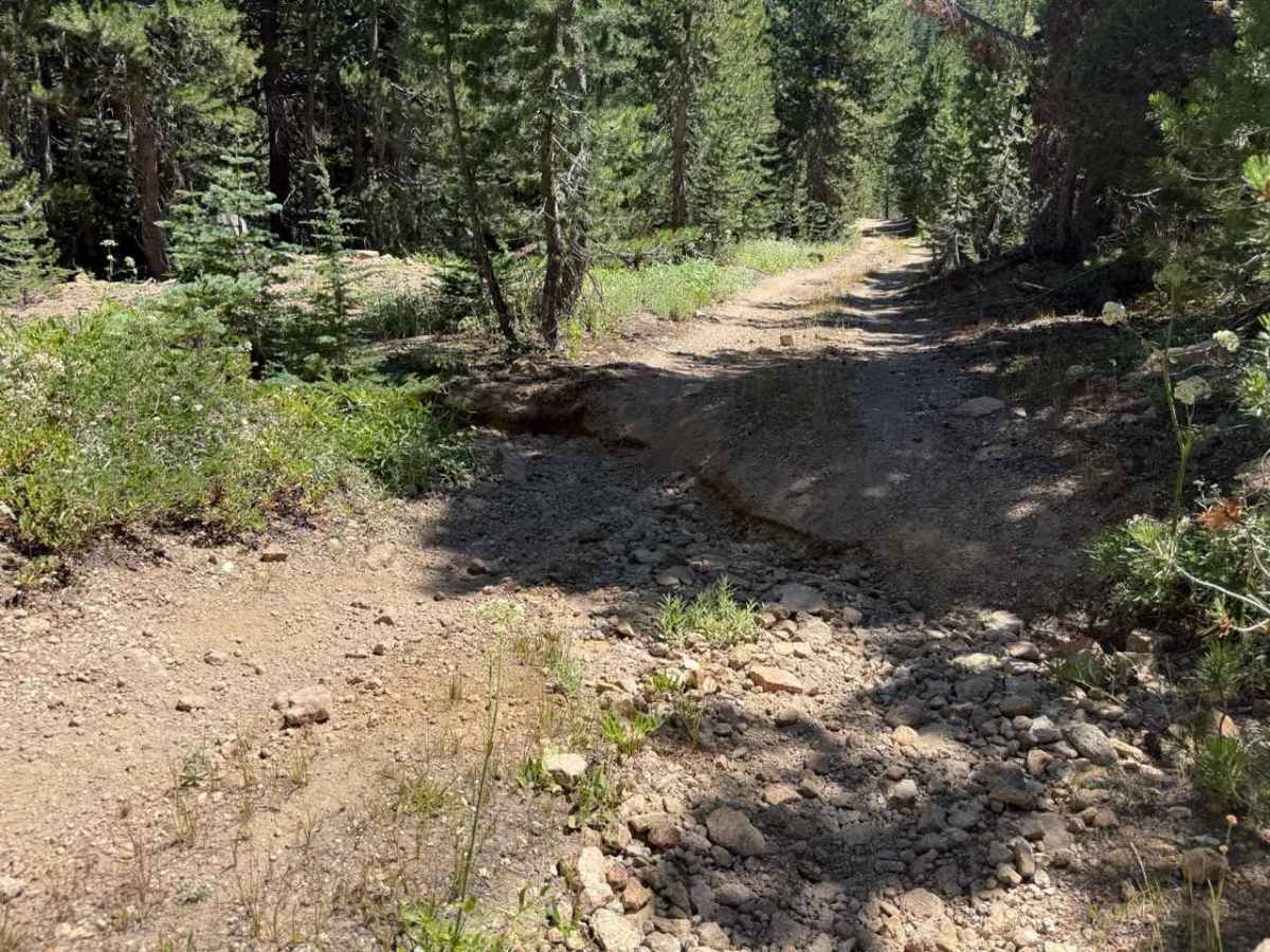 Hawkins Spur D - FS 31205D trail photo