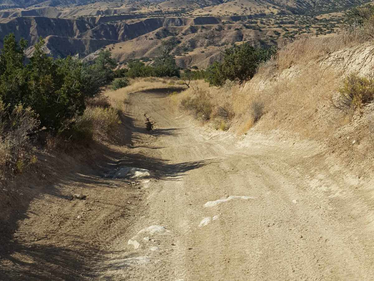 Trail 40 photo 2
