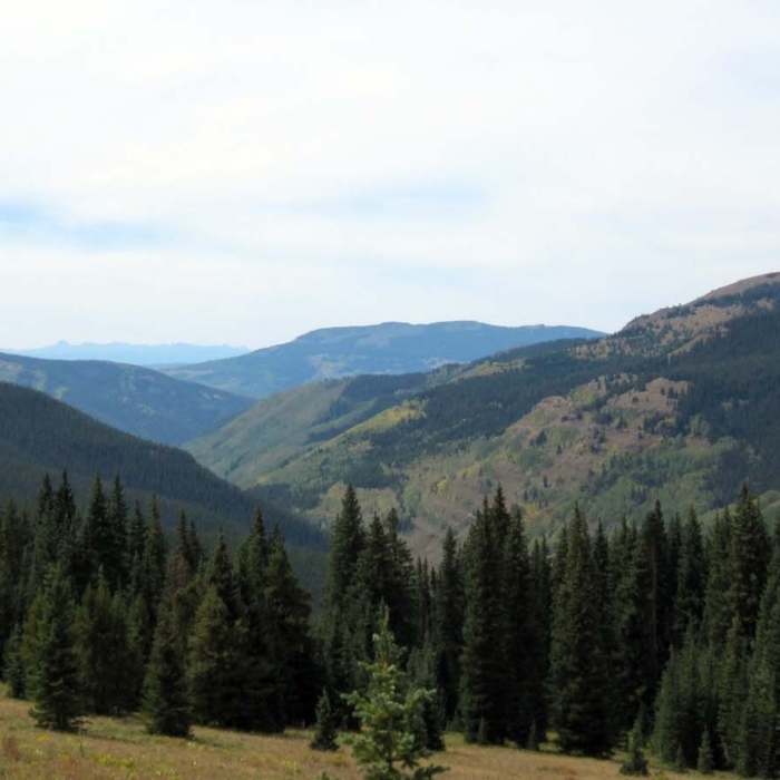 Near the top of Reno Road with nice views. Near Flag Creek