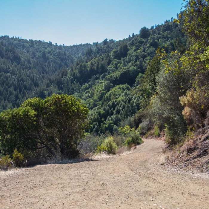 Near Alec Canyon + Triple Falls Trail Near Alec Canyon + Triple Falls Trail