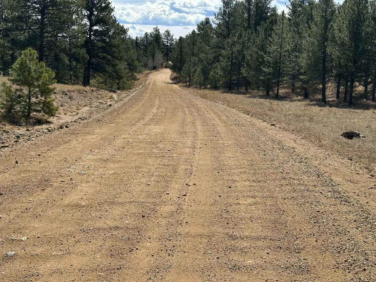 Webber Park Road photo 6