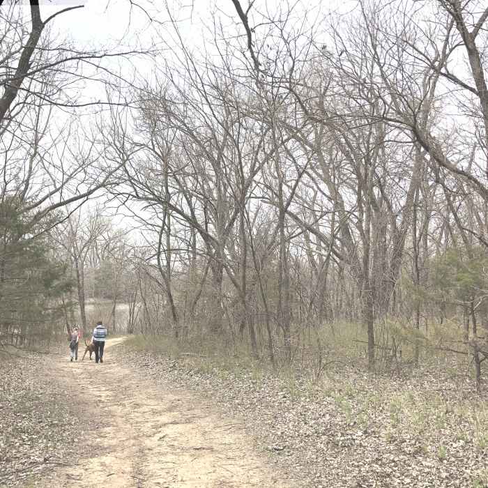 Near Community Building Trails