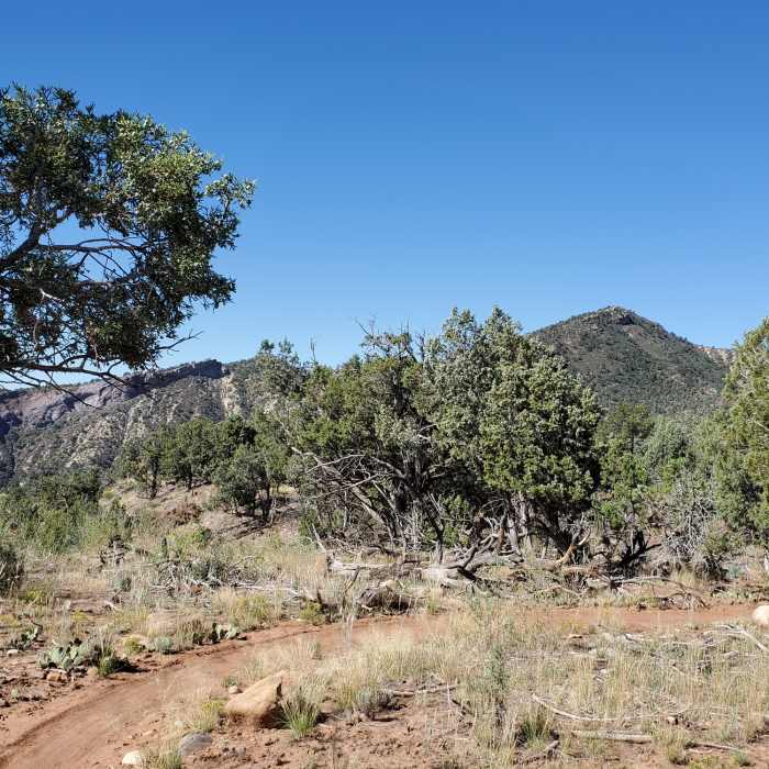 Near the tip of the mesa's peninsula. Near South Rim Trail