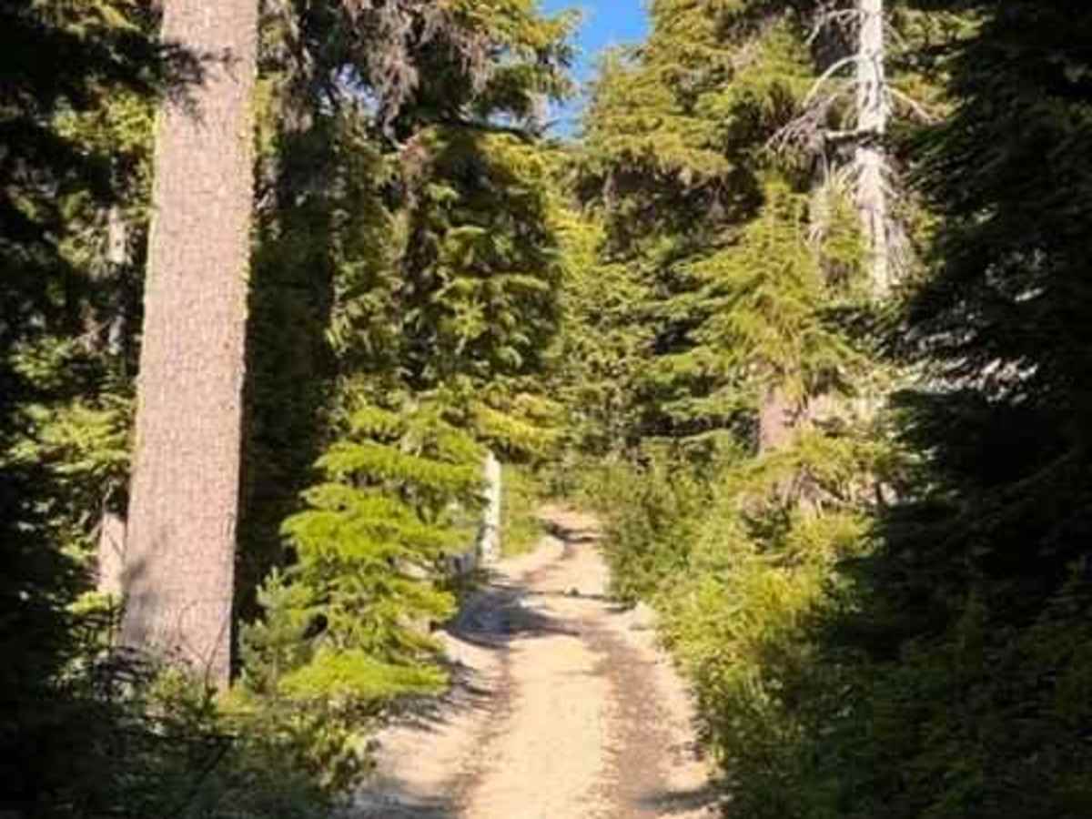 Badger Lake Via Bennett Pass photo 5