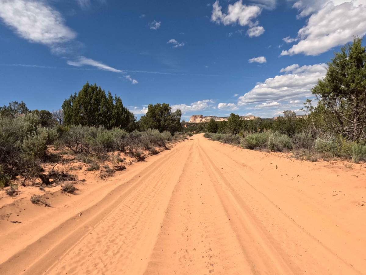 BLM 103 trail photo