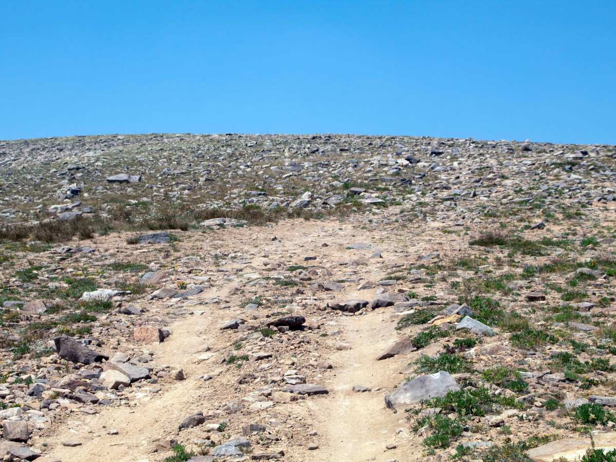 Dry Ridge Road - FS 10225 photo 6