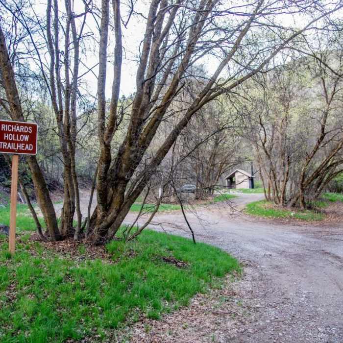 Near Richards Hollow Waterfall