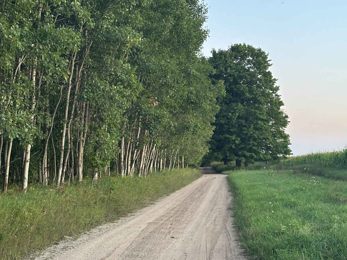 McVety Road photo 5