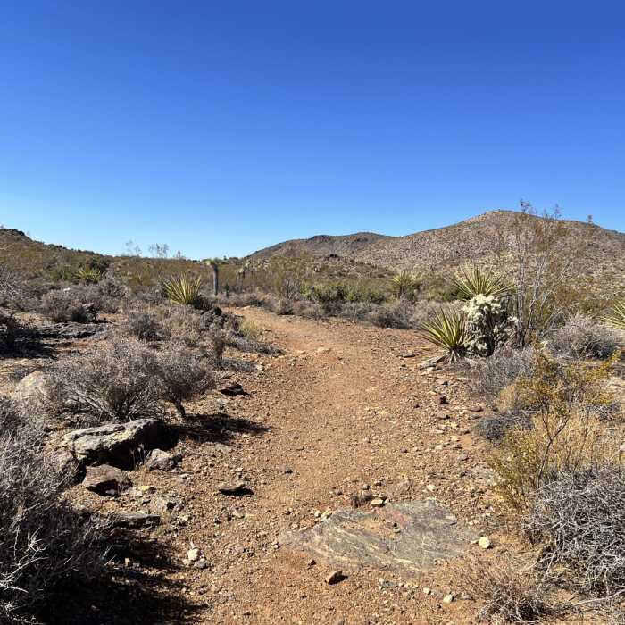 Near Ryan Campground to Geology Tour Road Loop