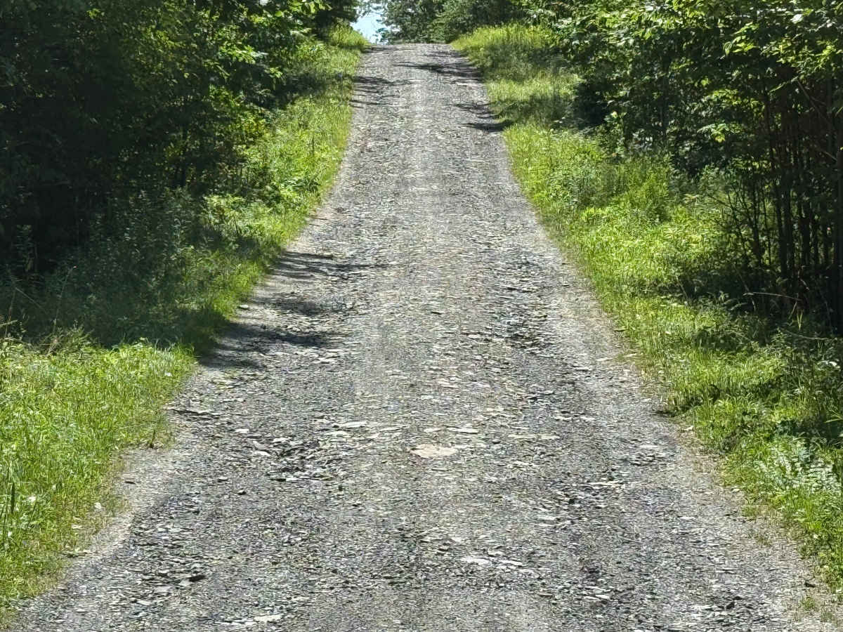 Morey Road photo 5