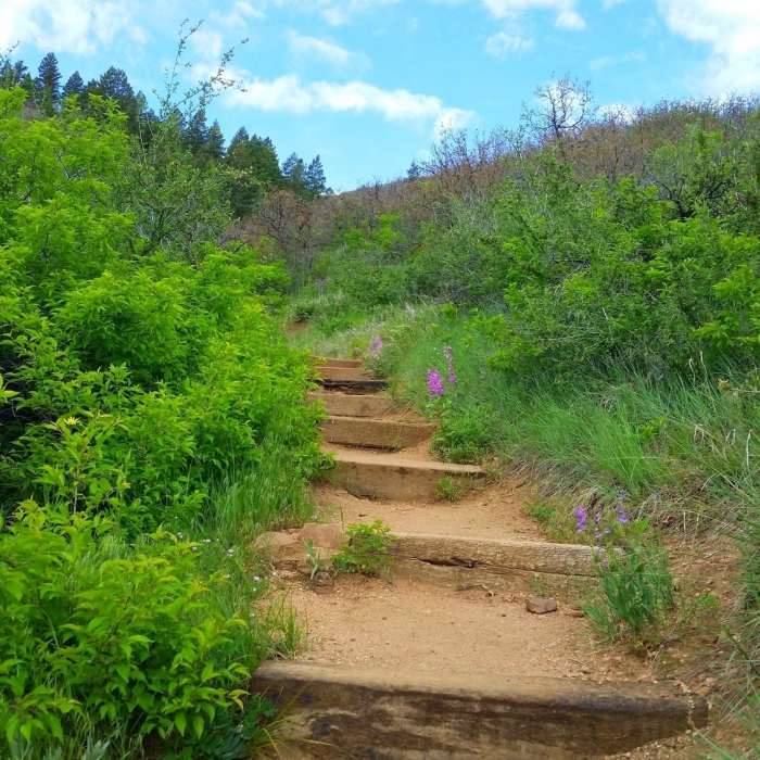 Near Carpenter Peak Trail
