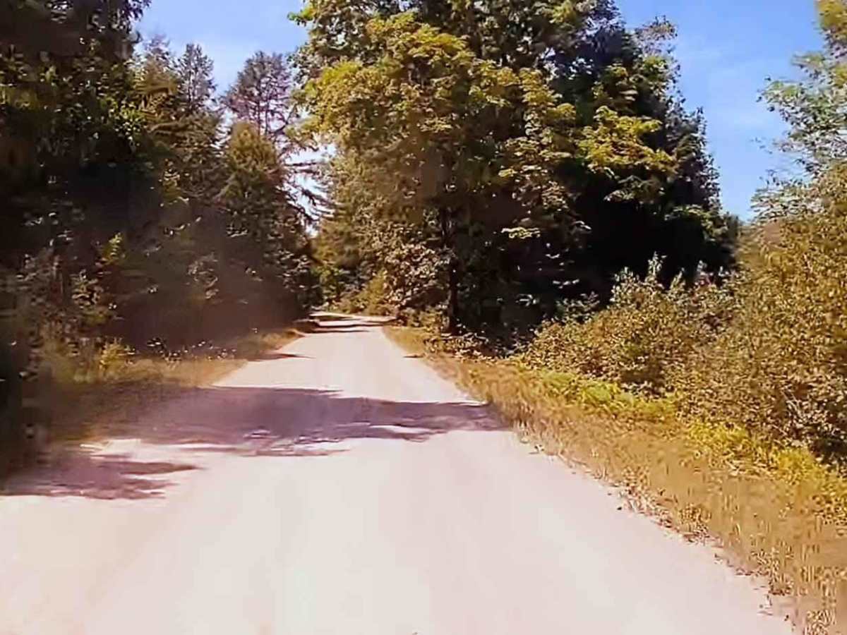 Cassidy Road photo 4