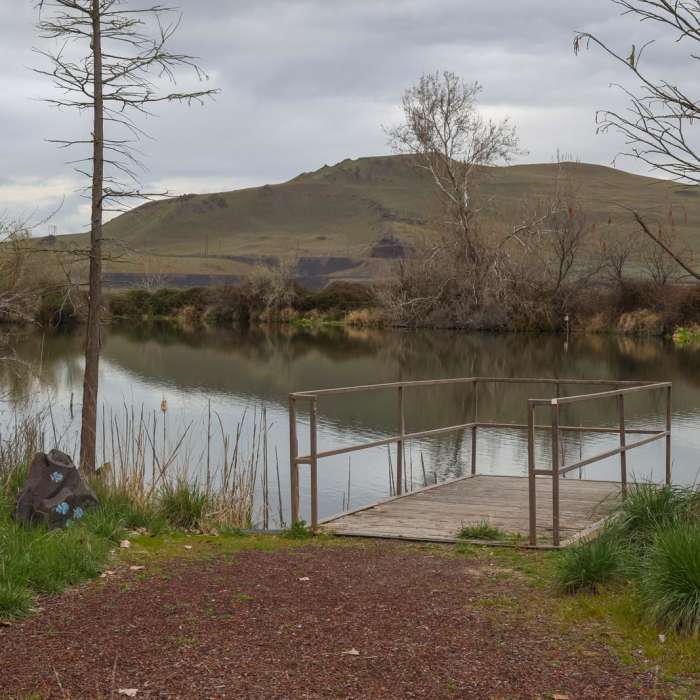 Near McNary Nature Trail