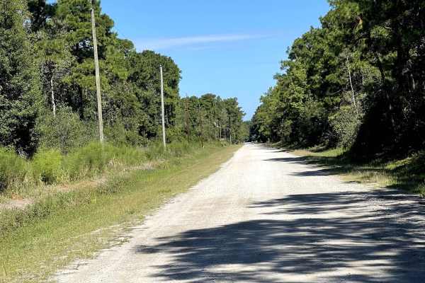 Redwood Road