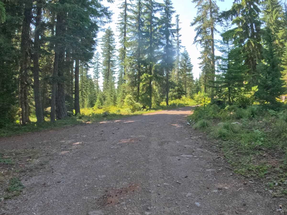 FS 2257537 photo 6